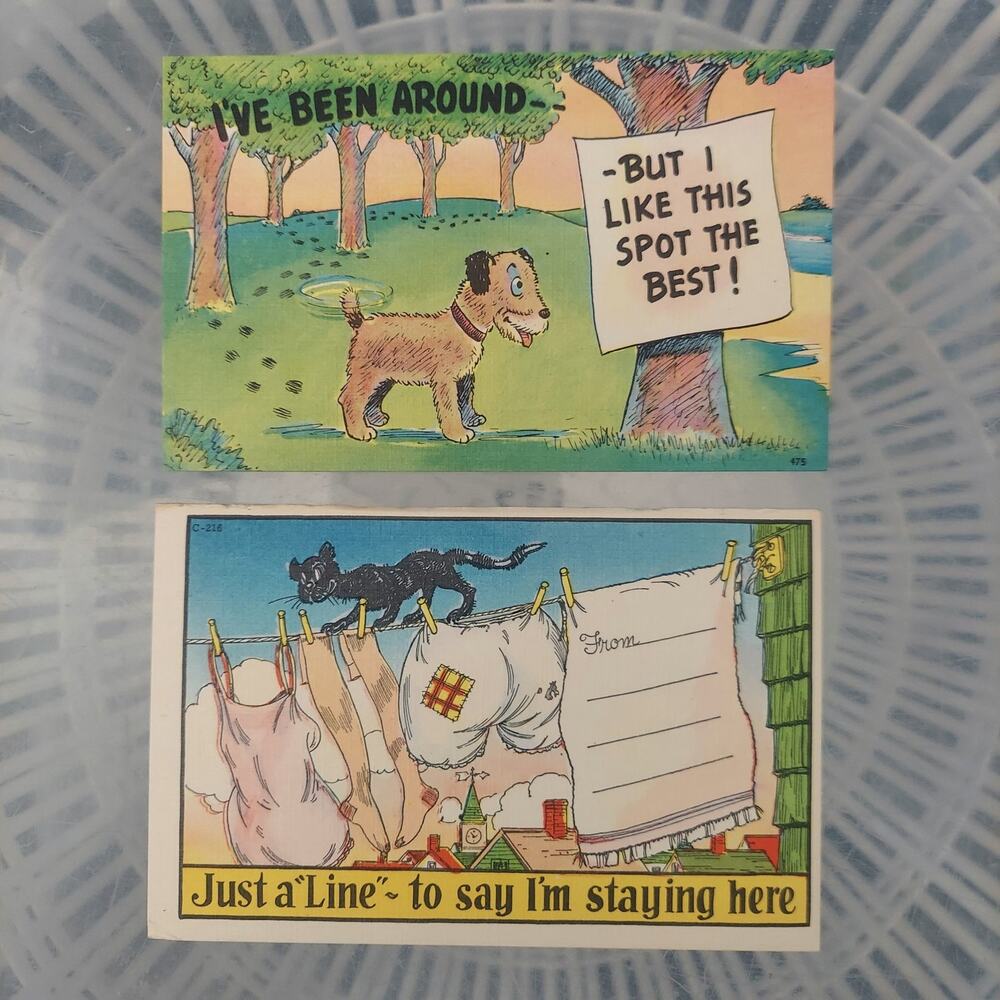 Vintage Asheville Post Card Company Staying Put Comic Linen Lot 2 Count